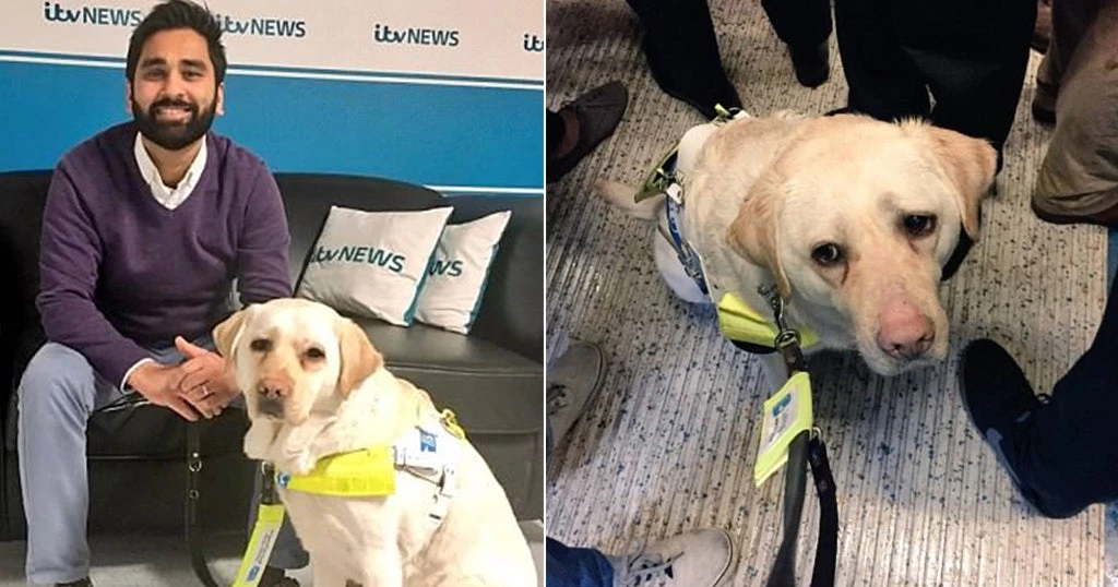 Τυφλός ξεσπάει σε κλάματα όταν κανείς δεν υπερασπίζεται εκείνον και τον σκύλο του σε τρένο